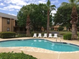 Sparkling Swimming Pool